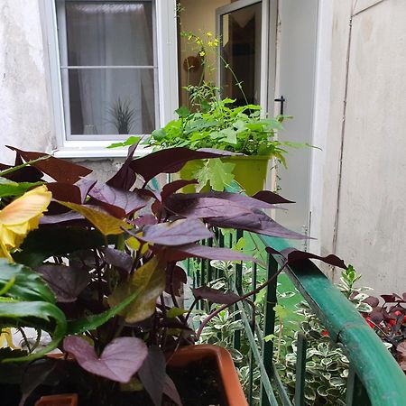 Ok Lux Apartments Краков Экстерьер фото